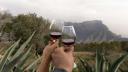 Vino mexicano