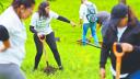 Colaboradores de IKEA participan en jornadas de limpieza en el Bosque de Aragón, impulsando el voluntariado corporativo mientras, en la tienda de Oceanía, la tecnología apoya la gestión sustentable con paneles solares y biodigestores.