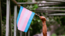 LGBTQ+