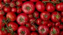 top view of ripe fresh tomatoes with water drops on black background