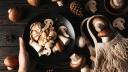 Mushrooms, concept of autumn food, autumn harvest