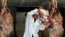 La imposición de aranceles por parte a la carne de res brasileña frenó los envíos a Estados Unidos. Del 1 al 25 de agosto, Brasil exportó 10,200 toneladas a México. 

Para más información del tema, visita: https://www.eleconomista.com.mx/empresas/mexico-supera-eu-convierte-segundo-mayor-importador-carne-res-brasilena-abiec-20250827-774529.html

¡Síguenos en nuestras redes sociales para mantenerte informado!

Twitter: https://twitter.com/eleconomista
Facebook: https://www.facebook.com/ElEconomista.mx
Instagram: https://www.instagram.com/eleconomistamx
LinkedIn: https://www.linkedin.com/company/el-economista/

#ElEconomista #EETV