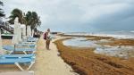 En los primeros cuatro meses del año, la Marina informó que han recolectado 950 toneladas de sargazo. Foto: Especial