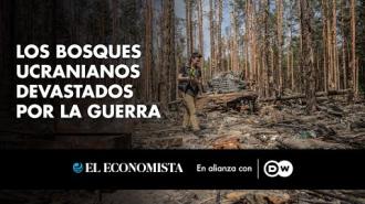 Los bosques de Ucrania han sido devastados por la amplia invasión rusa. Cientos de miles de hectáreas han sido incineradas como consecuencia de la explosión de minas y otras municiones abandonadas.
 
Twitter: https://twitter.com/eleconomista   
Sitio web: https://www.eleconomista.com.mx/   
Facebook: https://www.facebook.com/ElEconomista.mx   
  
#ElEconomista #DW #EETV