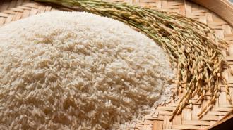 Arroz