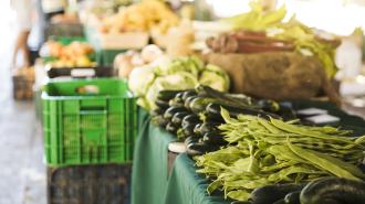 Verduras