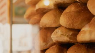 Bolillos