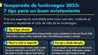 El Economista