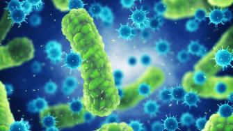 Reproducción. Hasta 5,000 millones de bacterias en16 horas. Foto: Shutterstock