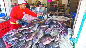 México ocupa actualmente el noveno lugar como productor de tilapia en el mundo y tercero en Latinoamérica, al sumar 115,000 toneladas.