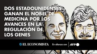 El Premio Nobel de Medicina recayó este lunes en los investigadores estadounidenses Victor Ambros y Gary Ruvkun por su hallazgo del microARN, un nuevo tipo de molécula ARN minúscula que tiene un papel crucial en la regulación de la actividad de los genes.

Para más información, visita: https://www.eleconomista.com.mx 

Twitter: https://twitter.com/eleconomista
Facebook: https://www.facebook.com/ElEconomista.mx

#ElEconomista #AFP #EETV