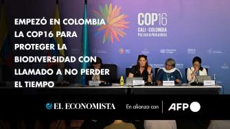 La COP16, la cumbre de Naciones Unidas sobre biodiversidad, comenzó oficialmente el lunes en Cali, Colombia, donde 196 países se reúnen hasta el 1 de noviembre para acordar una hoja de ruta para la preservación de la naturaleza de aquí a 2030.

¡Síguenos en nuestras redes sociales para mantenerte informado!

Twitter: https://twitter.com/eleconomista 
Facebook: https://www.facebook.com/ElEconomista.mx
Instagram: https://www.instagram.com/eleconomistamx
LinkedIn: https://www.linkedin.com/company/el-economista/

#ElEconomista #EETV