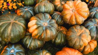 Calabaza de castilla