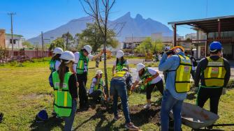 Regeneración urbana por parte de Distrotec