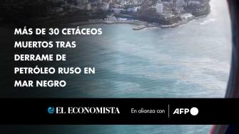 Más de 30 mamíferos marinos han muerto en la marea negra causada por el naufragio a mediados de diciembre de dos petroleros rusos en el mar Negro, anunció el domingo una oenegé especializada basada en Sochi, en el sureste de Rusia.

¡Síguenos en nuestras redes sociales para mantenerte informado!

Twitter: https://twitter.com/eleconomista 
Facebook: https://www.facebook.com/ElEconomista.mx
Instagram: https://www.instagram.com/eleconomistamx
LinkedIn: https://www.linkedin.com/company/el-economista/

#ElEconomista #EETV