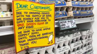 Frustrada por el aumento del precio de los huevos y el racionamiento en los supermercados, Yong-mi Kim decidió que era hora de alquilar sus propias gallinas.
¡Síguenos en nuestras redes sociales para mantenerte informado!
Twitter: https://twitter.com/eleconomista
Facebook: https://www.facebook.com/ElEconomista.mx
Instagram: https://www.instagram.com/eleconomistamx
LinkedIn: https://www.linkedin.com/company/el-economista/
#ElEconomista #EETV