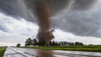 Decenas de personas han muerto en graves tormentas en varios estados de EE. UU, algunas incluyeron tornados devastadores. Cientos de hogares han quedado destruidos.
¡Síguenos en nuestras redes sociales para mantenerte informado!
Twitter: https://twitter.com/eleconomista
Facebook: https://www.facebook.com/ElEconomista.mx
Instagram: https://www.instagram.com/eleconomistamx
LinkedIn: https://www.linkedin.com/company/el-economista/
#ElEconomista #EETV