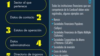 ¿Qué datos puedes ver en el Sipres?