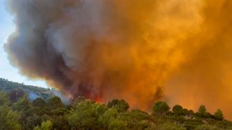 Cientos de bomberos luchaban el miércoles para detener la propagación de un importante incendio forestal en el sur de Francia, que dejó una persona muerta y nueve heridos.
¡Síguenos en nuestras redes sociales para mantenerte informado!
Twitter: https://twitter.com/eleconomista
Facebook: https://www.facebook.com/ElEconomista.mx
Instagram: https://www.instagram.com/eleconomistamx
LinkedIn: https://www.linkedin.com/company/el-economista/
#ElEconomista #EETV