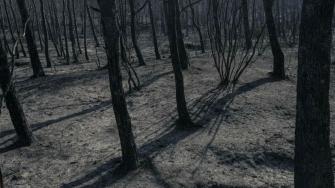 Las autoridades afirmaron que los vientos cálidos y secos del domingo más la ola de calor, dificultarían el trabajo de los bomberos.
Para más información del tema, visita: https://www.eleconomista.com.mx/internacionales/bomberos-luchan-extinguir-gran-incendio-forestal-francia-20250810-772047.html
¡Síguenos en nuestras redes sociales para mantenerte informado!
Twitter: https://twitter.com/eleconomista
Facebook: https://www.facebook.com/ElEconomista.mx
Instagram: https://www.instagram.com/eleconomistamx
LinkedIn: https://www.linkedin.com/company/el-economista/
#ElEconomista #EETV #Incendio