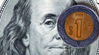 La divisa local cayó levemente tras tocar su mejor nivel en dos semanas impulsada por la debilidad del billete verde ante apuestas de un recorte de tasas de interés en Estados Unidos.