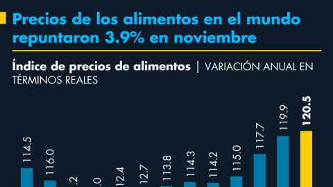 El Economista