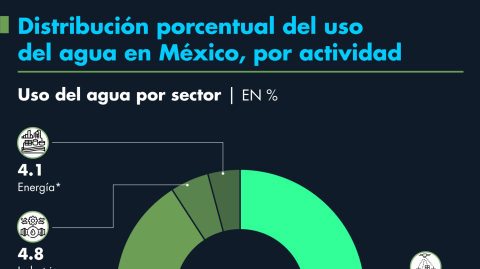 El Economista
