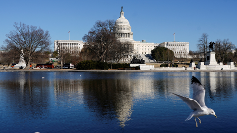 Capitolio de Estados Unidos.