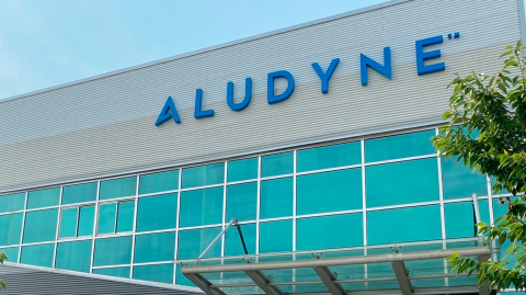 Aludyne.