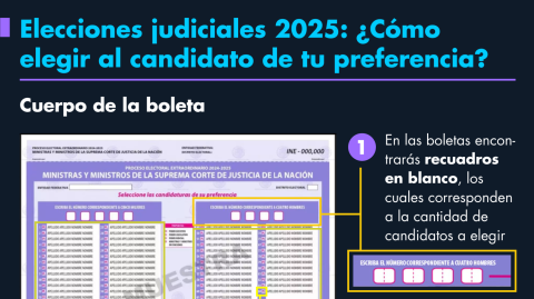 El Economista