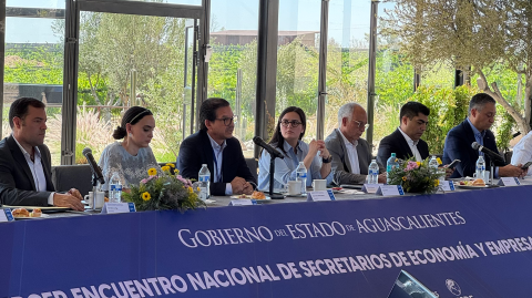 Altagracia Gómez, coordinadora del Consejo Asesor de Desarrollo Económico Regional y Relocalización.