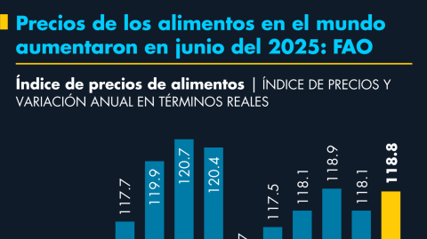 El Economista