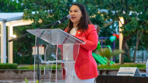 Mirna Avilés Mis, presidenta del Colegio de Ingenieros Civiles del Estado de Jalisco.
