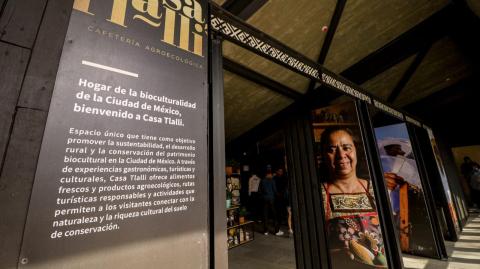 Casa Tlalli