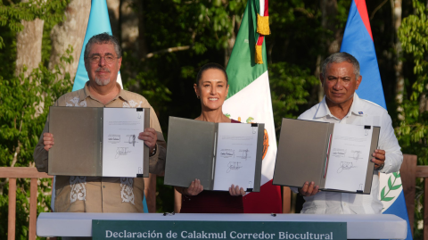 La presidenta de México, Claudia Sheinbaum; su homólogo de Guatemala, Bernardo Arévalo, y el primer ministro de Belice, John Briceño, firmaron la Declaración de Calakmul: Corredor Biocultural Gran Selva Maya.