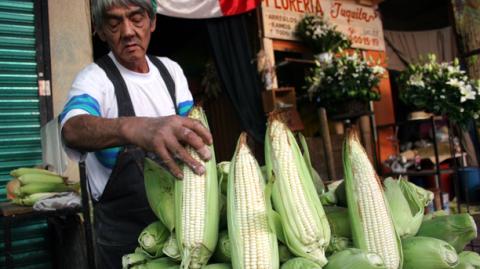 El Economista