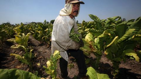 El Economista