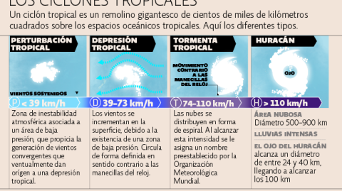 El Economista