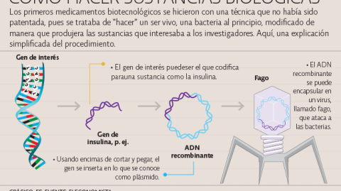 El Economista