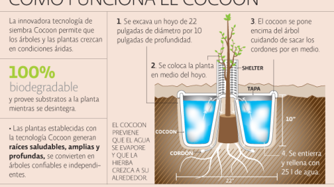 El Economista