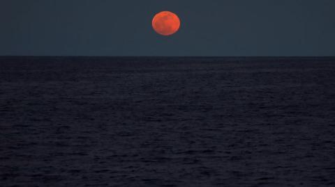 Foto: Reuters