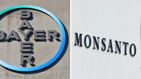 FILES-GERMANY-US-FARMING-CHEMICALS-BAYER-MONSANTO