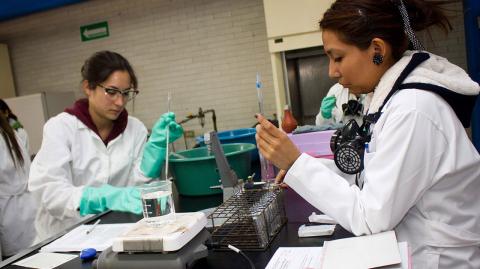 CIENCIA Y TECNOLOGIA, FACULTAD DE QUIMICA UAQ