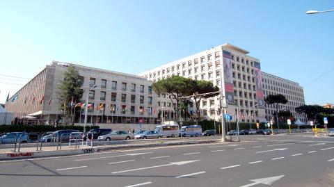 SEDE DE LA FAO