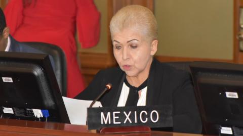 Luz Elena Baños, embajadora de México ante la Organización de los Estados Americanos. Foto EE: Cortesía Twitter / @OEA_oficial