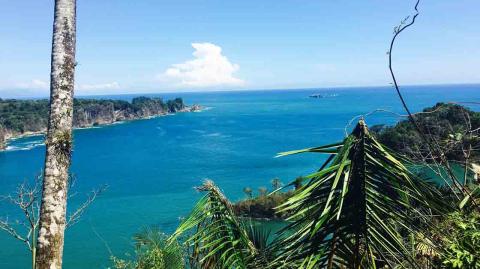 En décadas pasadas, argumentos medioambientales han frustrado al menos dos proyectos de exploración petrolera en la zona norte y caribeña del país. En la imagen, el Parque Nacional Manuel Antonio, en la región de Puntarenas. Foto: Notimex.