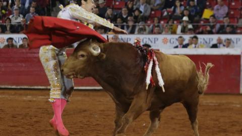 José Mauricio no se lo pensó mucho, entregó el pecho en la suerte suprema y fue alcanzado por ‘Malagueñito’ de Barralva que lo siguió al estar tirado en la arena y le tiró otro derrote mortal. Foto EE: Eric Lugo