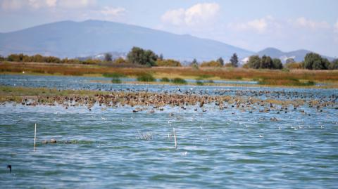 El lago de Texcoco. Foto Reuters.