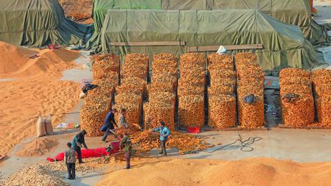 Tangshan,City,-,March,2,,2016:,Farmers,Were,Drying,Corn