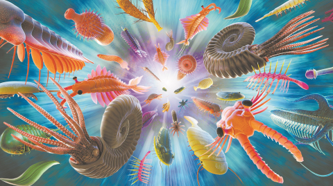 Ilustración 3D de la explosión cámbrica. Foto: Shutterstock